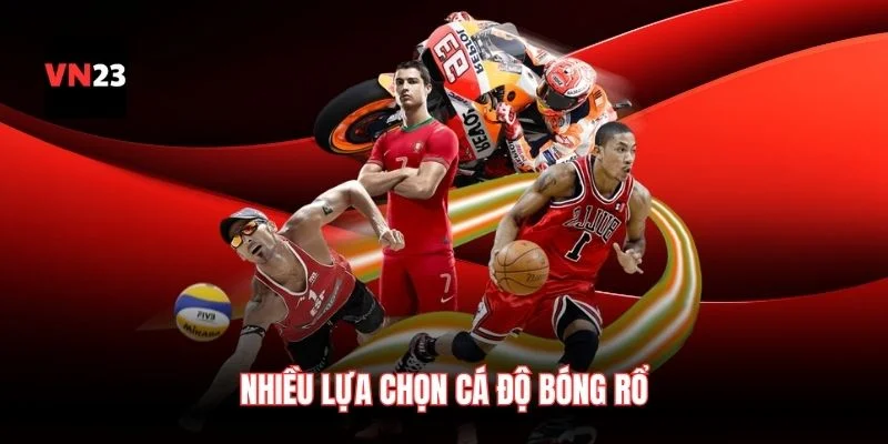 Nhiều lựa chọn cá độ bóng rổ