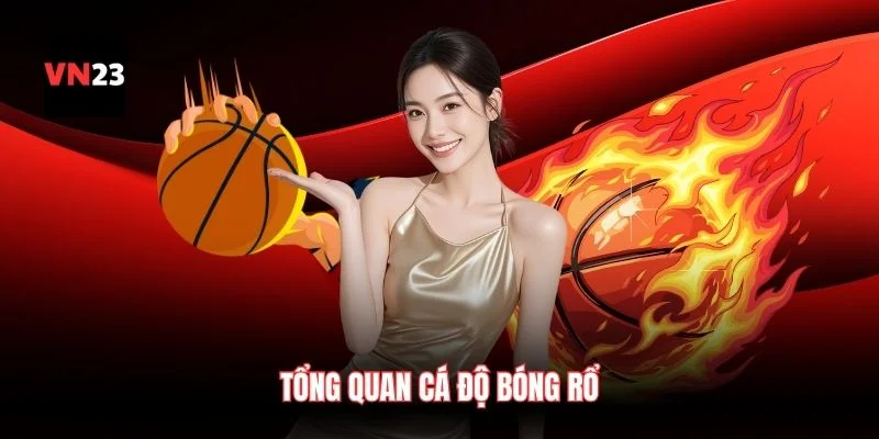 Tổng quan cá độ bóng rổ
