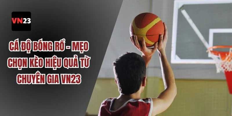 Cá độ bóng rổ